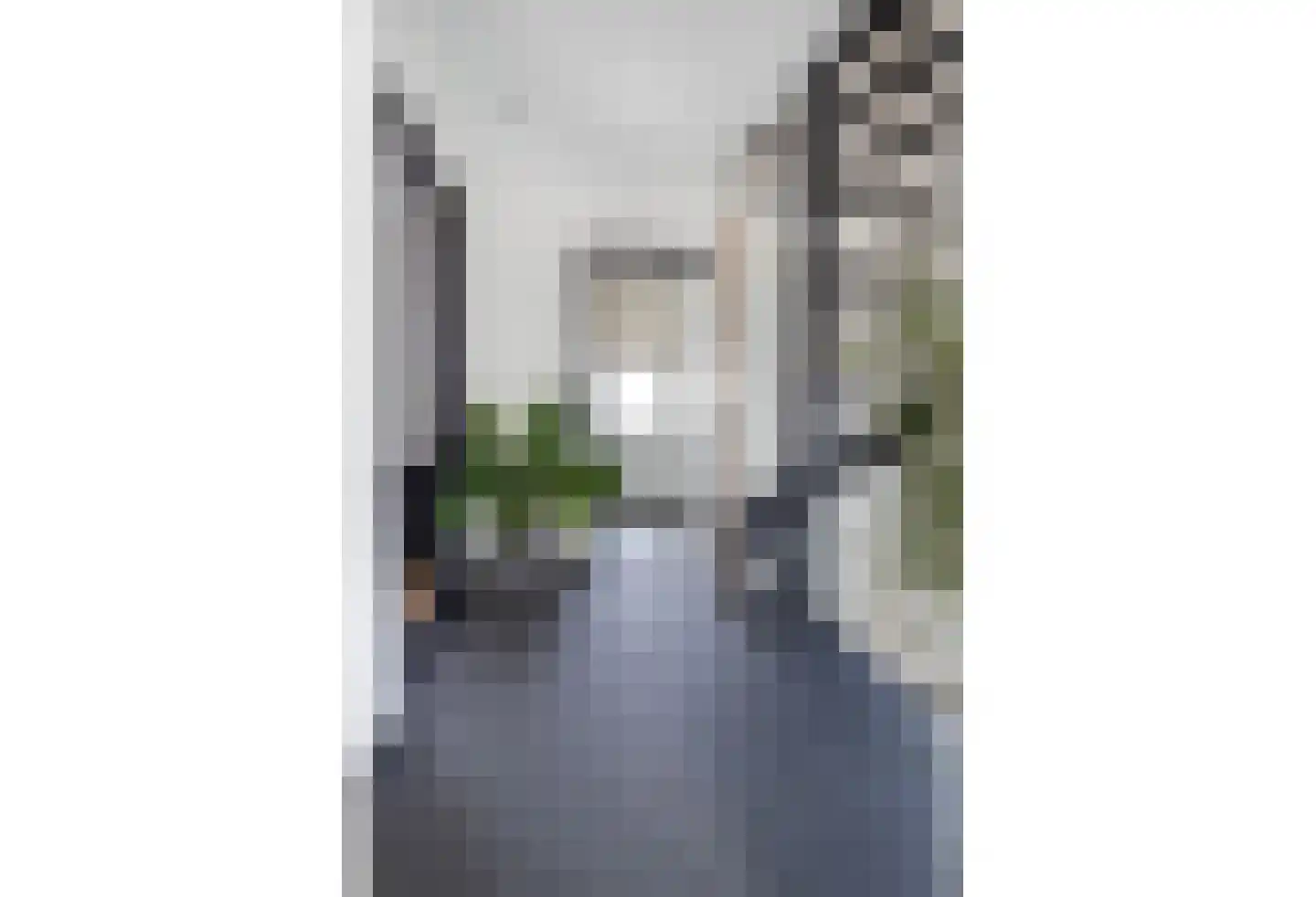 Meerser Koestraat 10 Stein thumbnail 26
