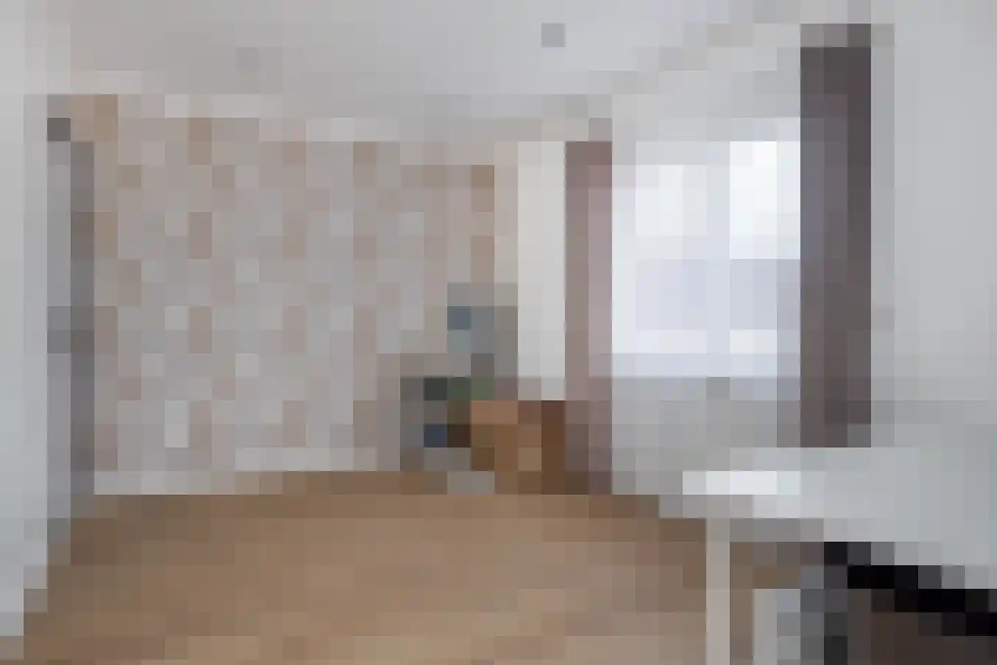 Meerser Koestraat 10 Stein thumbnail 29