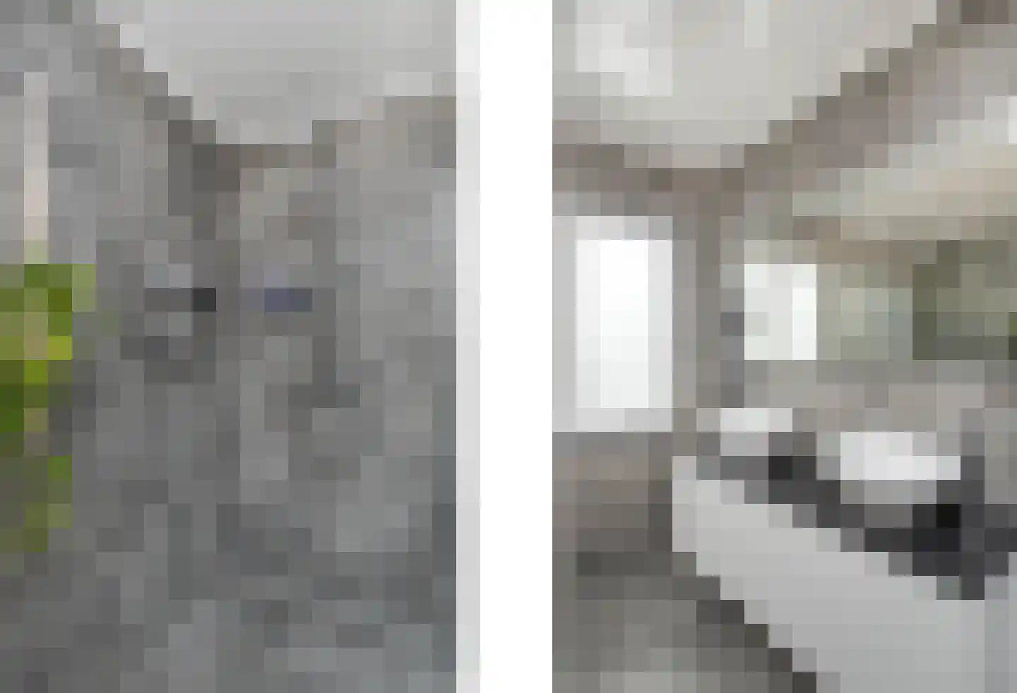 Meerser Koestraat 10 Stein thumbnail 31