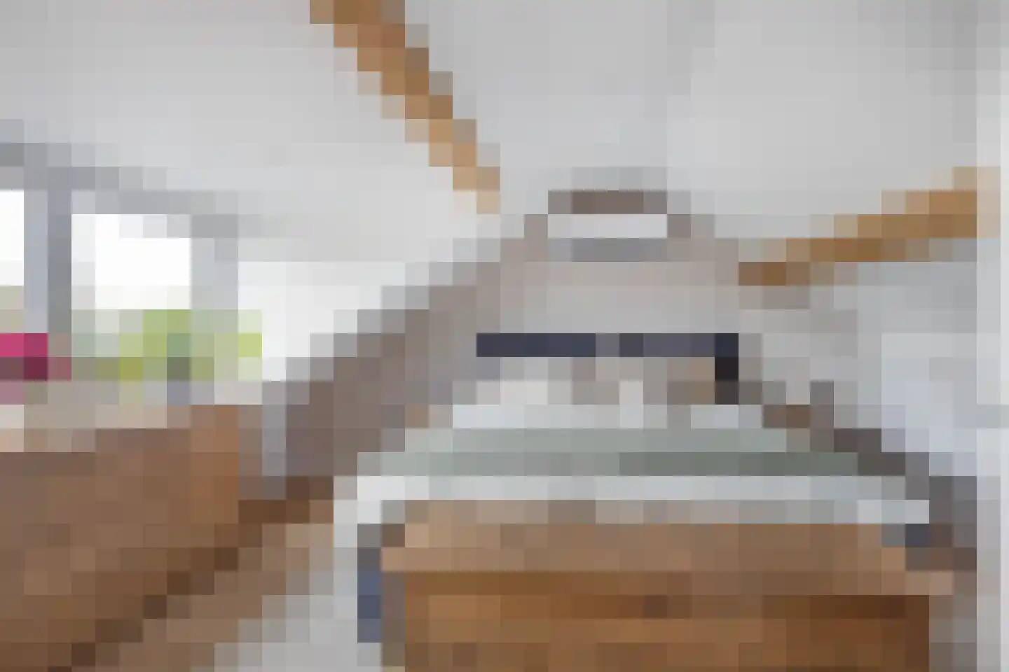 Meerser Koestraat 10 Stein thumbnail 35