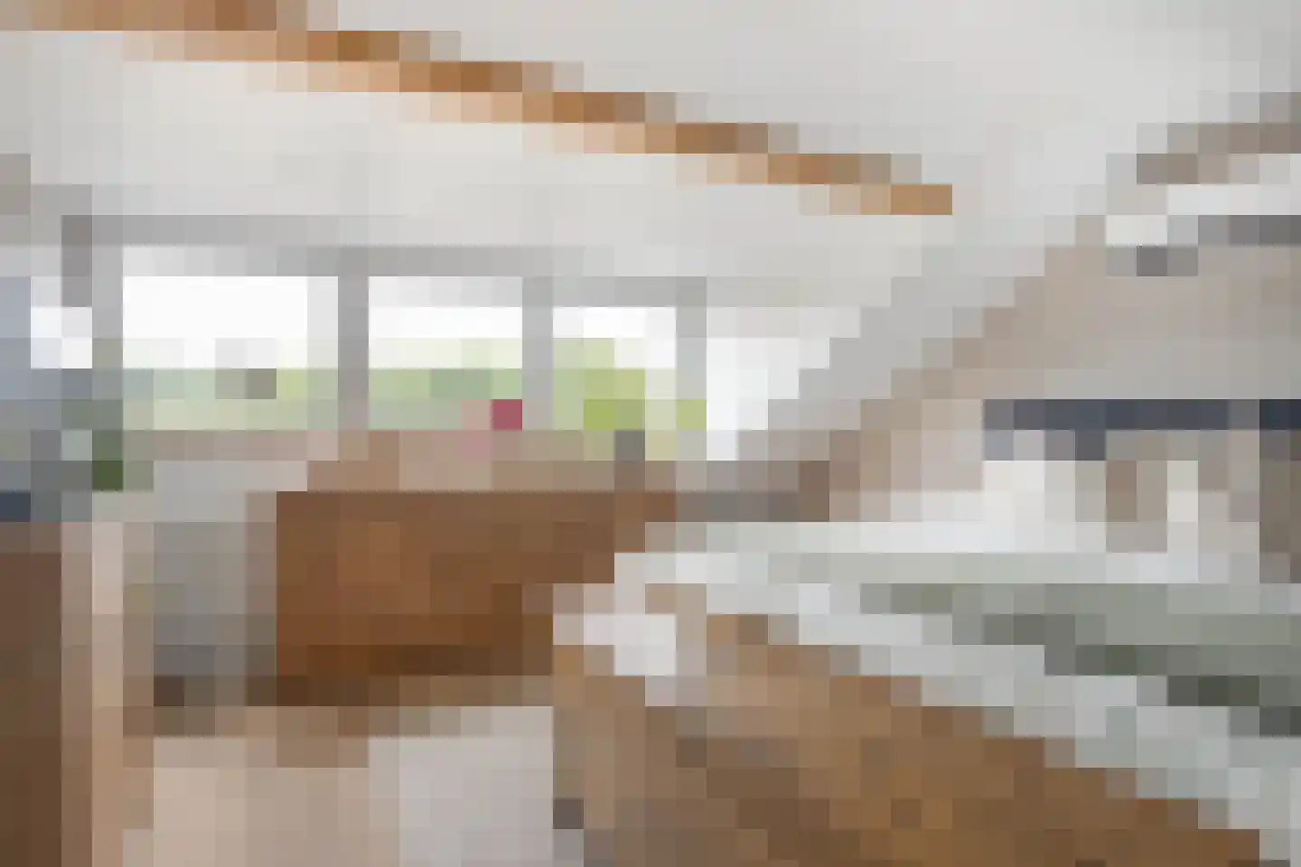 Meerser Koestraat 10 Stein thumbnail 36