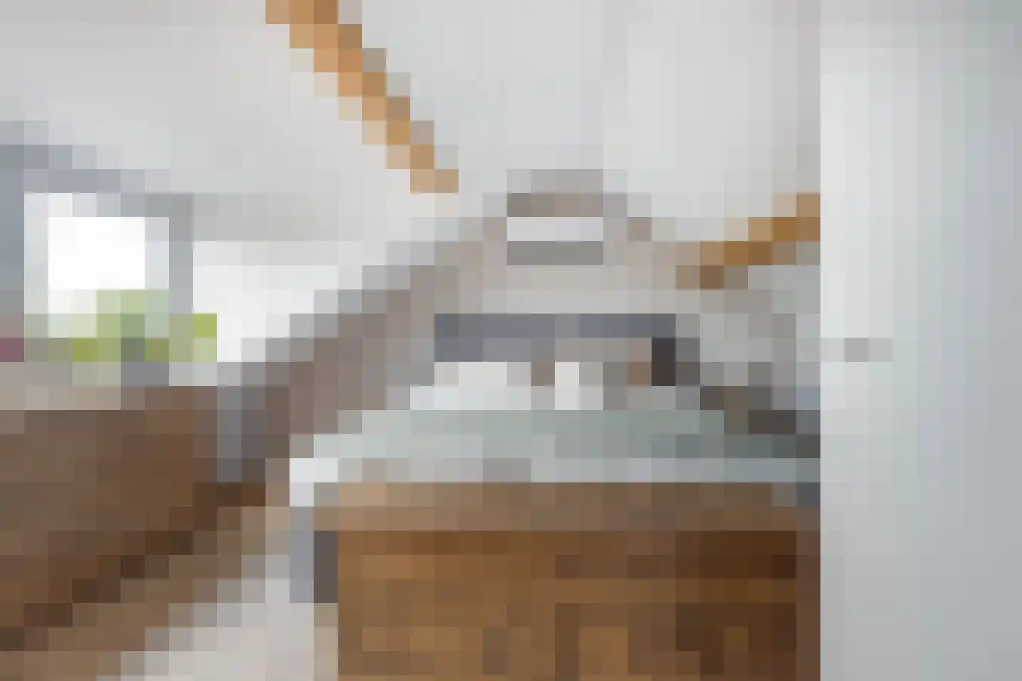 Meerser Koestraat 10 Stein thumbnail 37