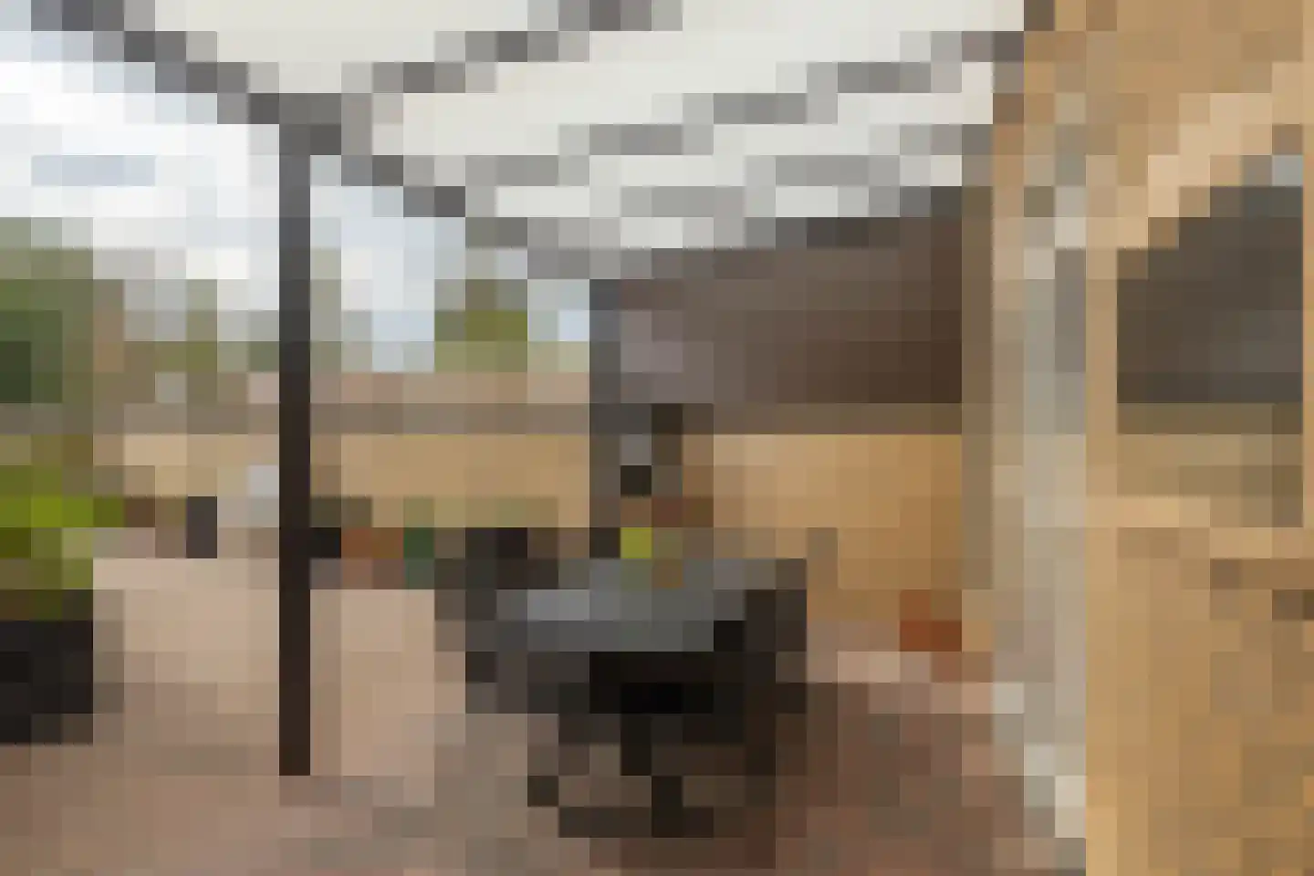 Meerser Koestraat 10 Stein thumbnail 42