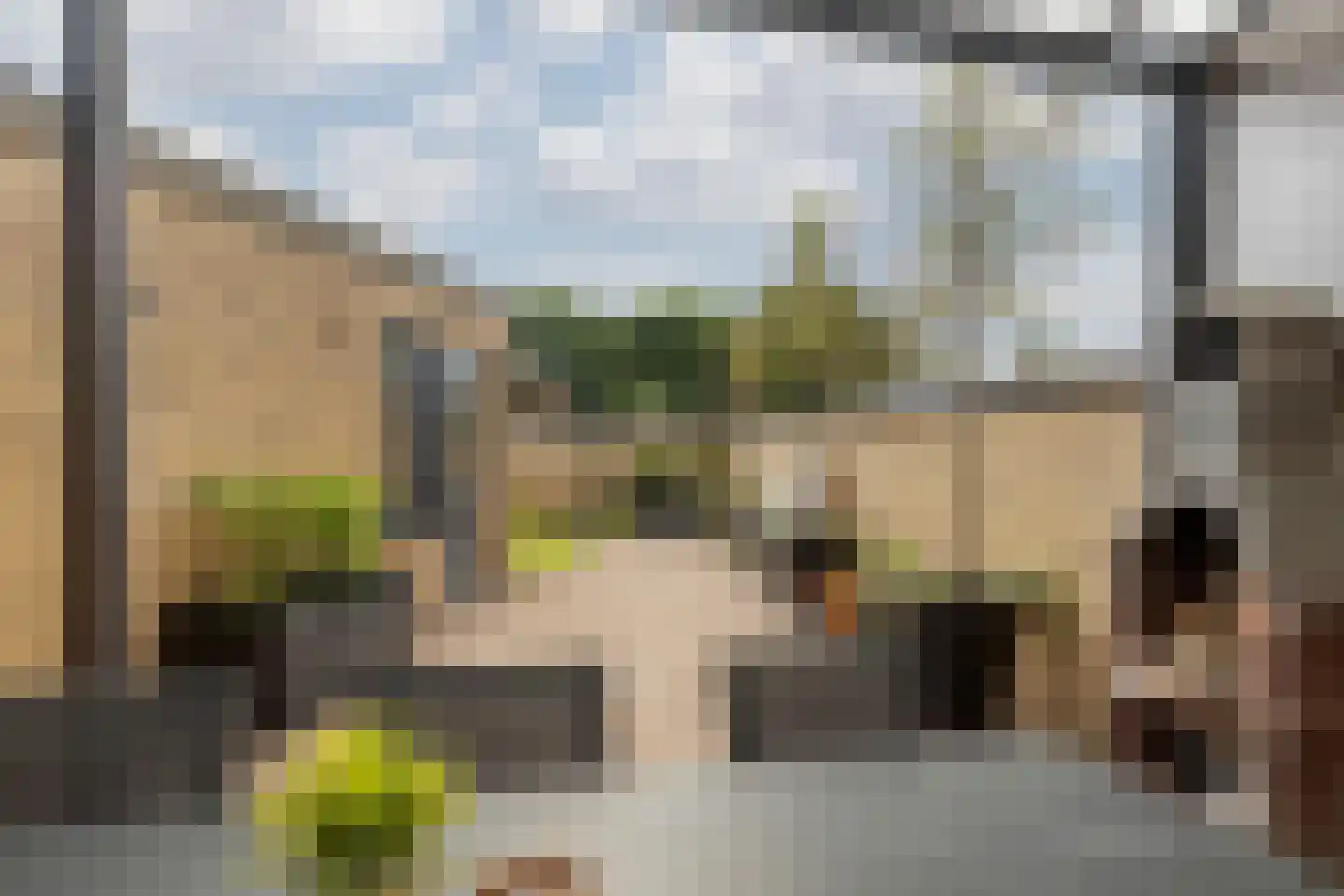 Meerser Koestraat 10 Stein thumbnail 43