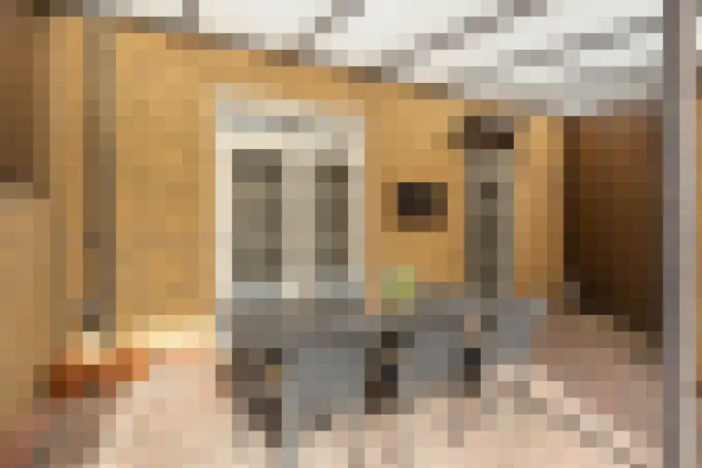 Meerser Koestraat 10 Stein thumbnail 44
