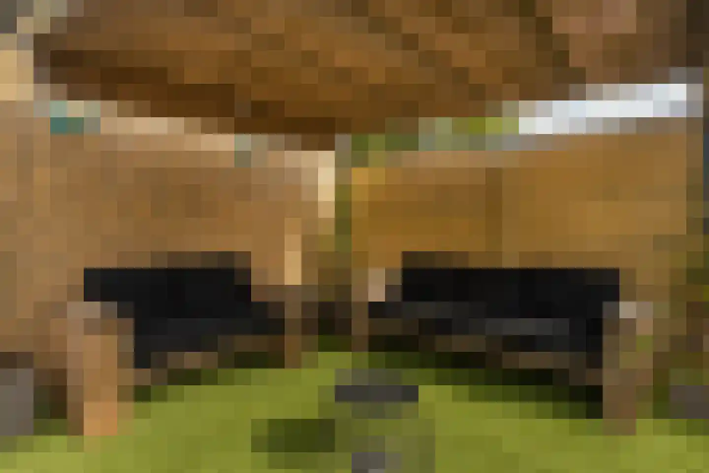 Meerser Koestraat 10 Stein thumbnail 46