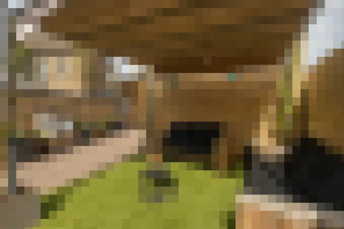 Meerser Koestraat 10 Stein thumbnail 47