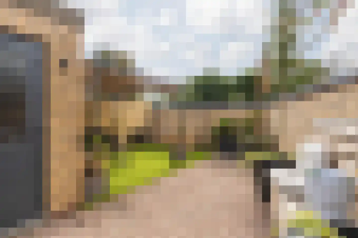 Meerser Koestraat 10 Stein thumbnail 49