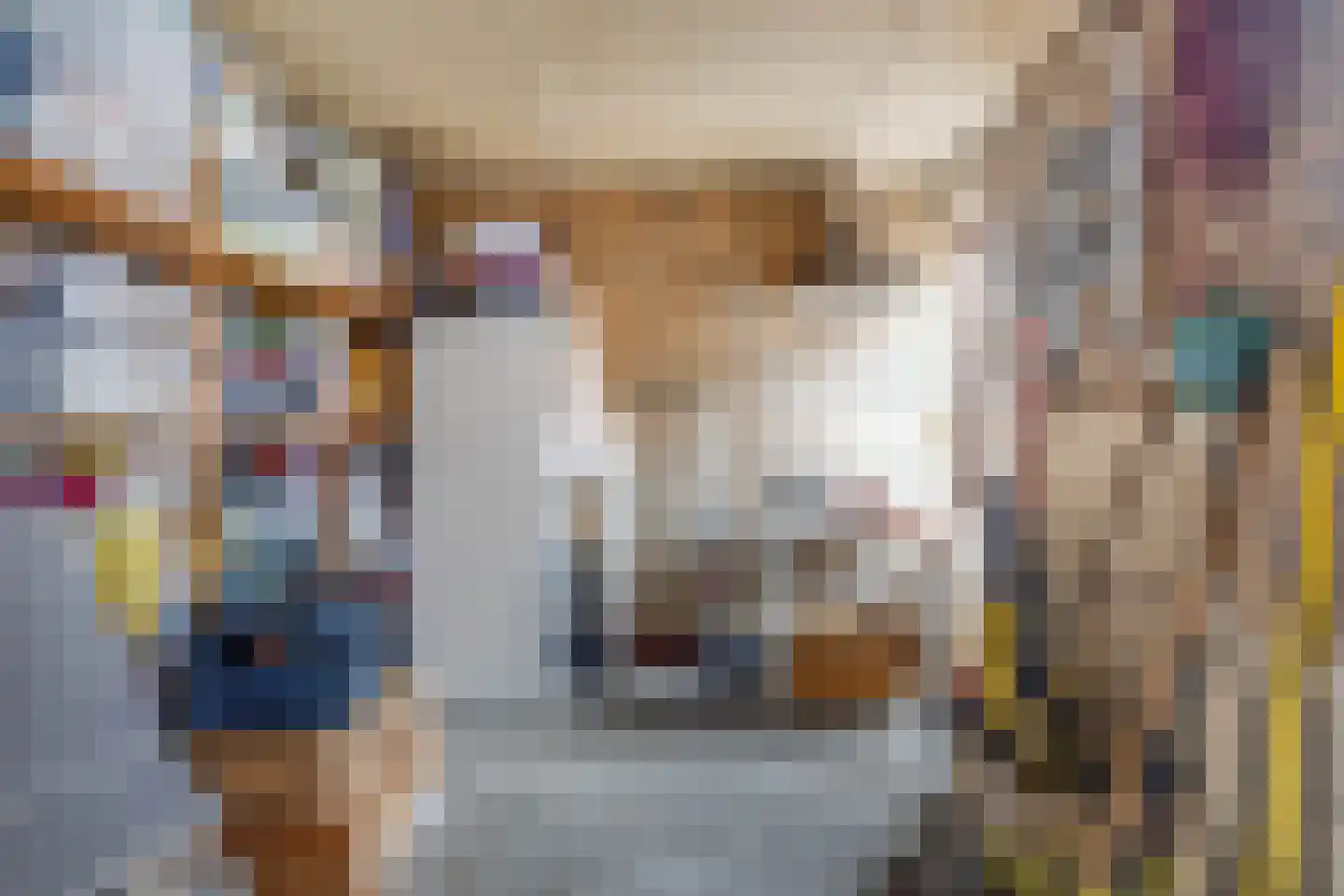 Meerser Koestraat 10 Stein thumbnail 50