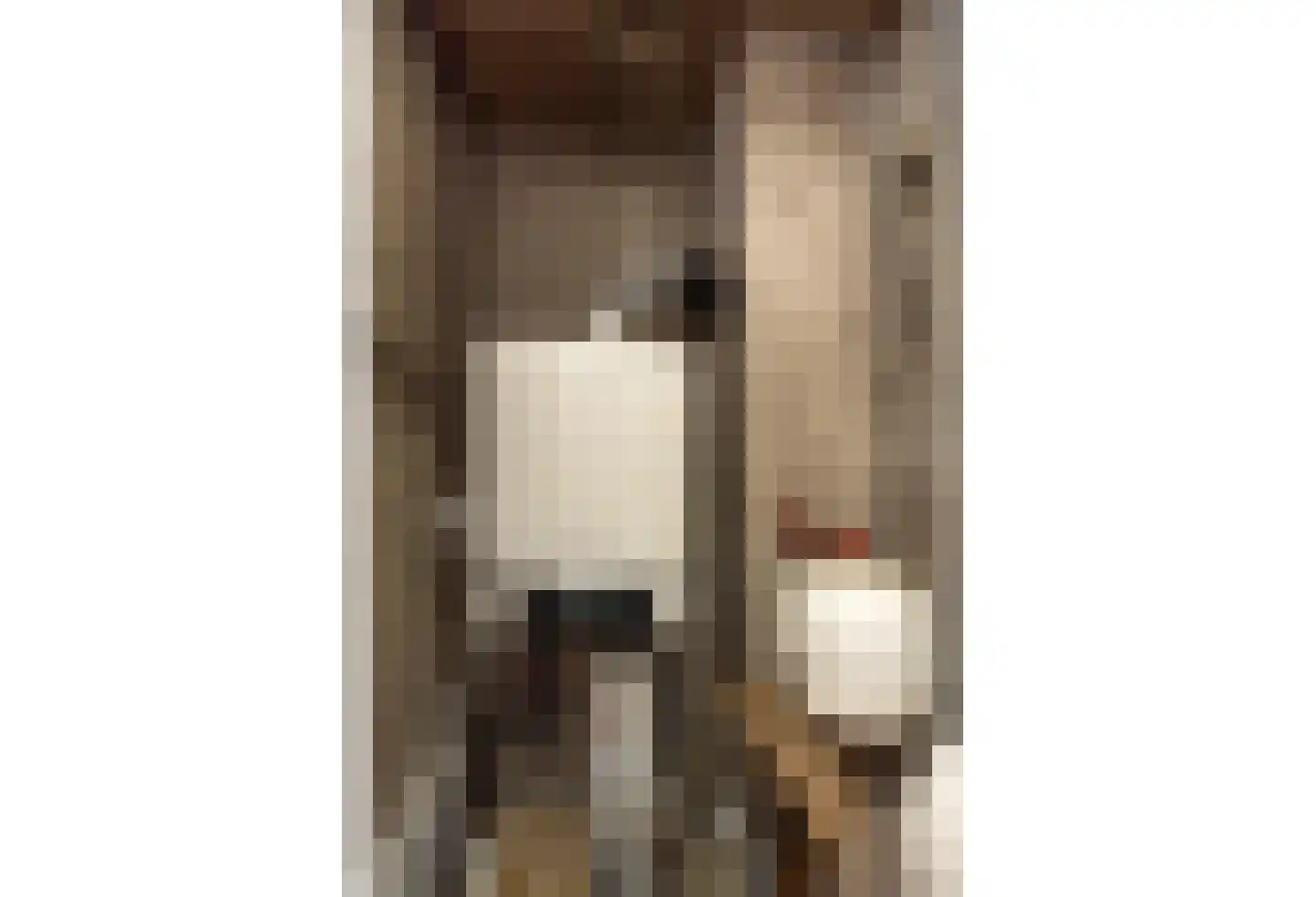 Meerser Koestraat 10 Stein thumbnail 52