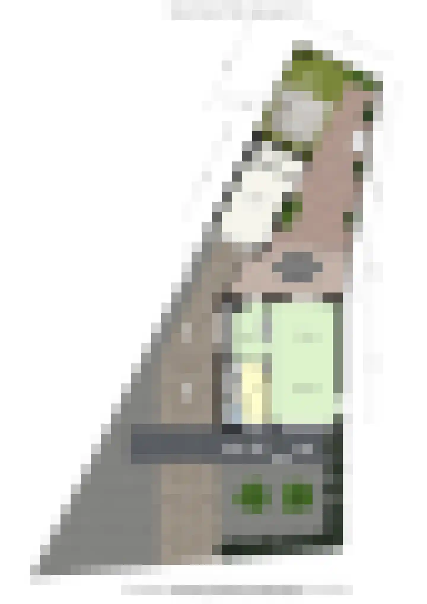 Meerser Koestraat 10 Stein thumbnail 54