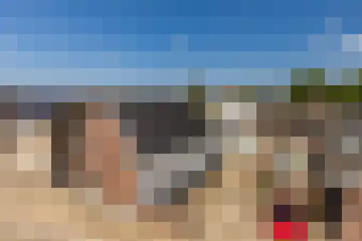 Meerser Koestraat 11 Stein thumbnail 11
