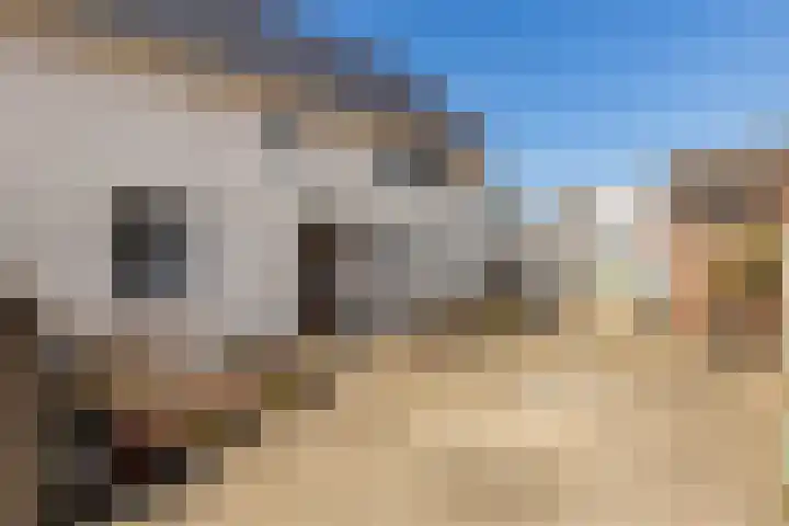 Meerser Koestraat 11 Stein thumbnail 13