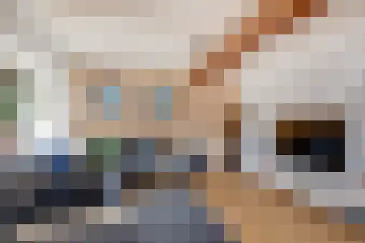 Meerser Koestraat 11 Stein thumbnail 17