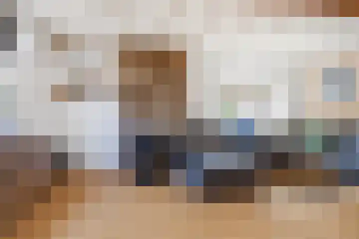 Meerser Koestraat 11 Stein thumbnail 18