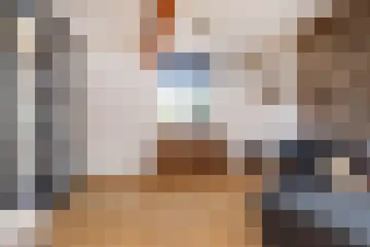 Meerser Koestraat 11 Stein thumbnail 19