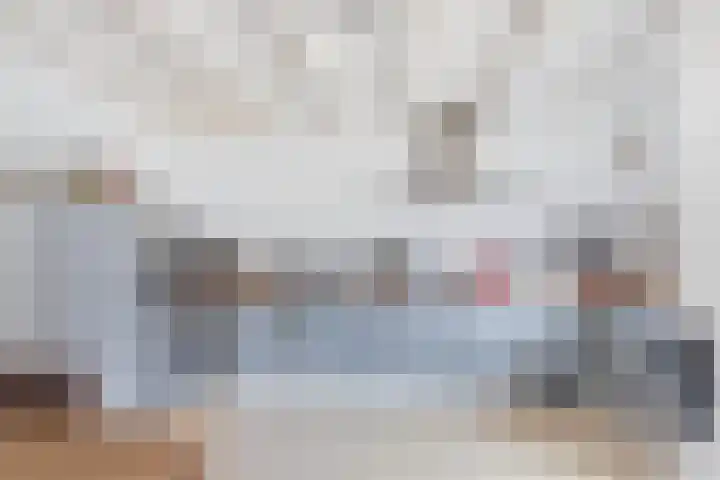 Meerser Koestraat 11 Stein thumbnail 20