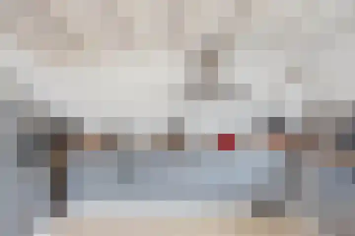 Meerser Koestraat 11 Stein thumbnail 21