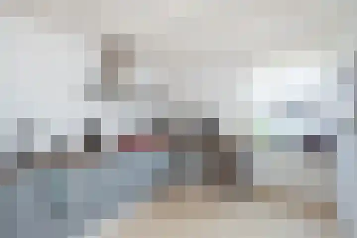 Meerser Koestraat 11 Stein thumbnail 22