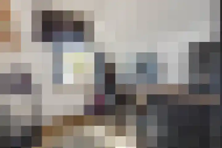 Meerser Koestraat 11 Stein thumbnail 30
