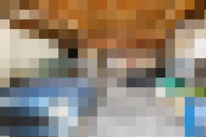 Meerser Koestraat 11 Stein thumbnail 32