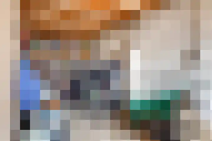 Meerser Koestraat 11 Stein thumbnail 33