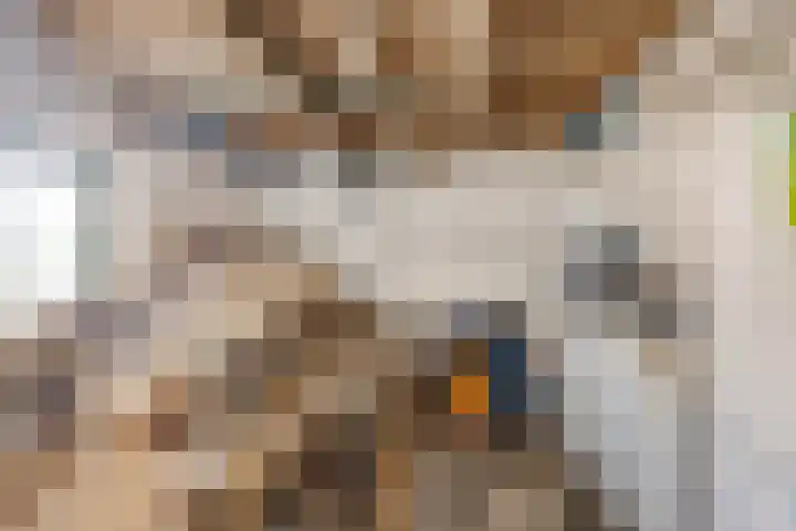 Meerser Koestraat 11 Stein thumbnail 35
