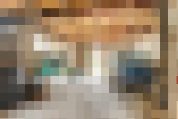 Meerser Koestraat 11 Stein thumbnail 36