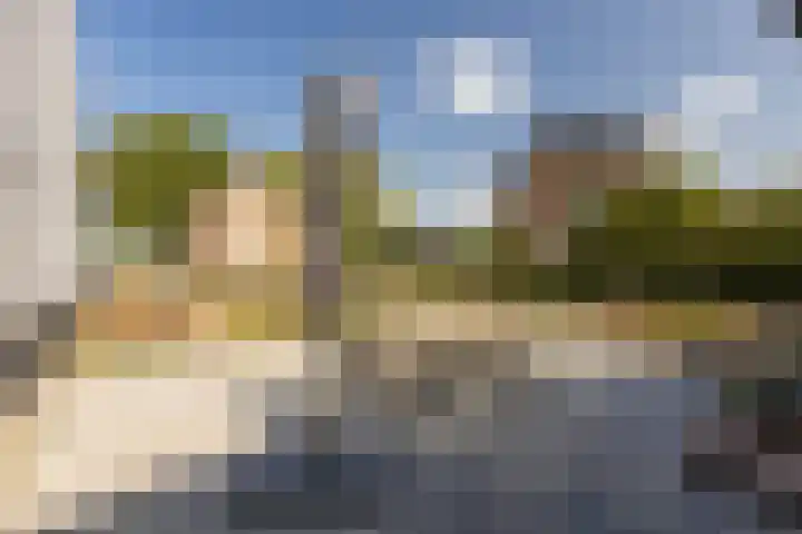 Meerser Koestraat 11 Stein thumbnail 37