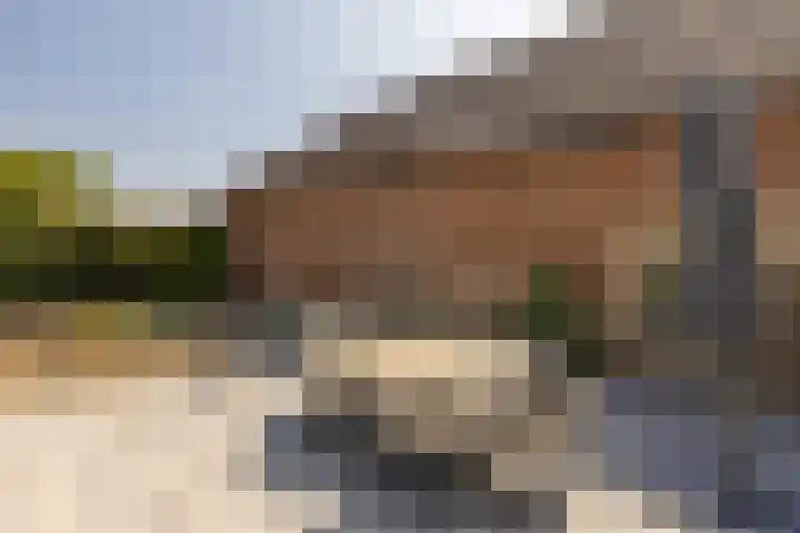 Meerser Koestraat 11 Stein thumbnail 38