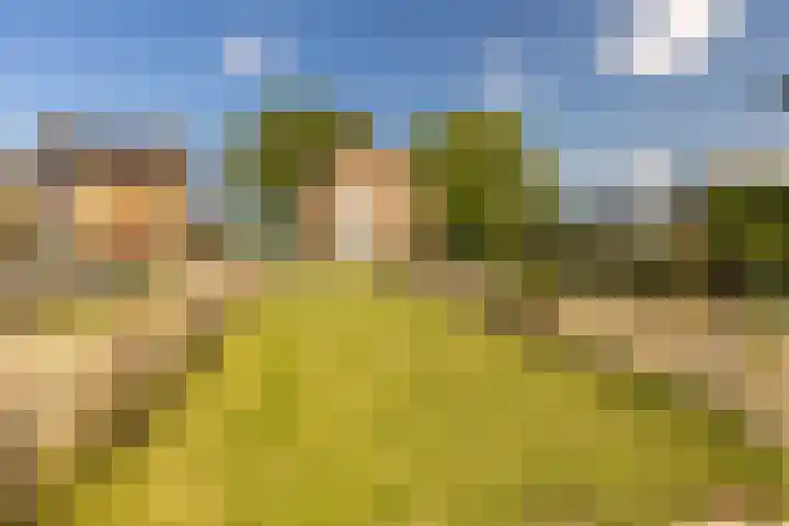 Meerser Koestraat 11 Stein thumbnail 39