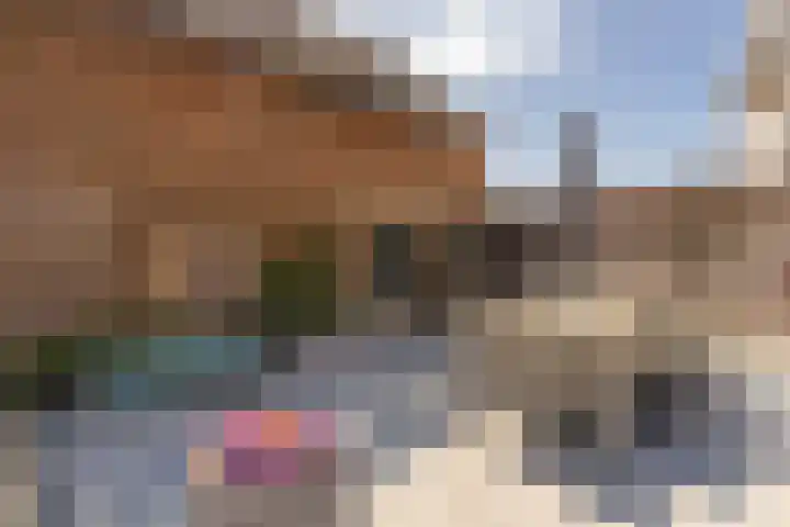 Meerser Koestraat 11 Stein thumbnail 41