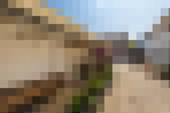Meerser Koestraat 11 Stein thumbnail 42