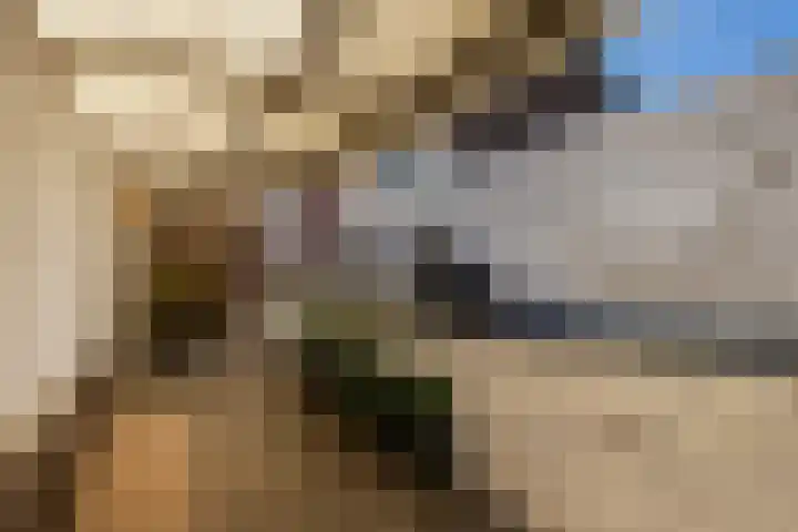 Meerser Koestraat 11 Stein thumbnail 43
