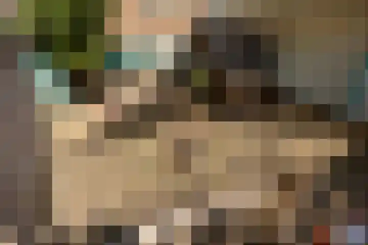 Meerser Koestraat 11 Stein thumbnail 44