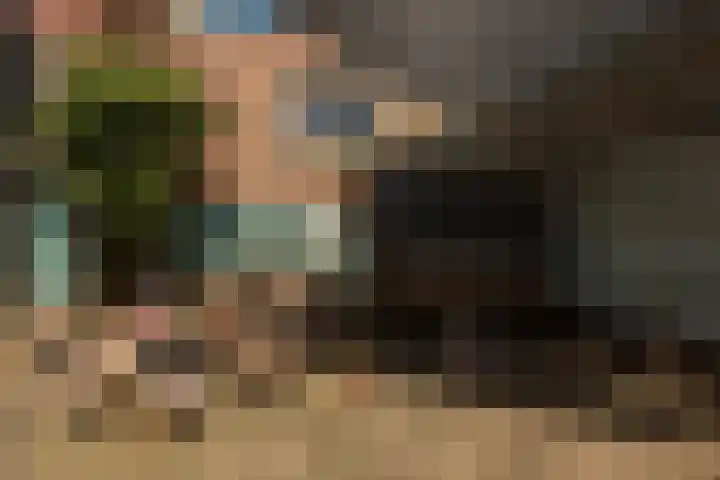 Meerser Koestraat 11 Stein thumbnail 45