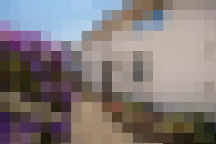 Meerser Koestraat 11 Stein thumbnail 46