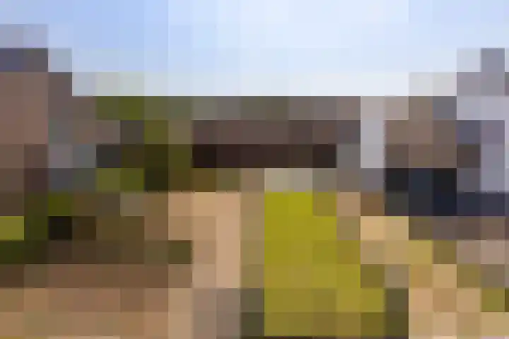 Meerser Koestraat 11 Stein thumbnail 47