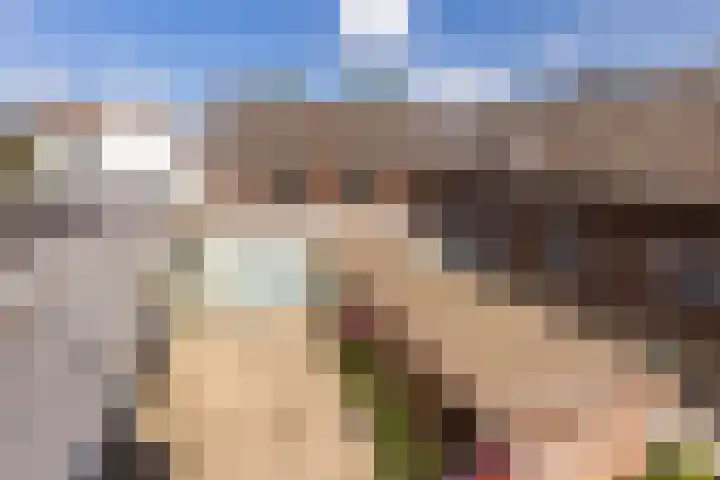 Meerser Koestraat 11 Stein thumbnail 48