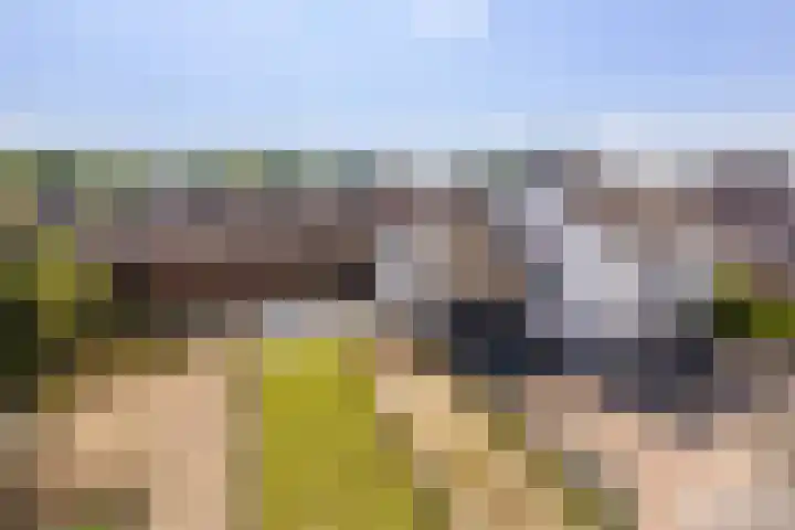 Meerser Koestraat 11 Stein thumbnail 49