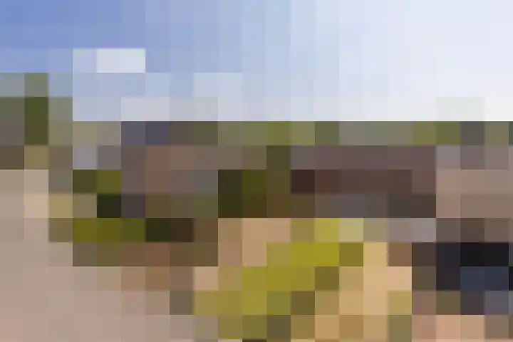 Meerser Koestraat 11 Stein thumbnail 50