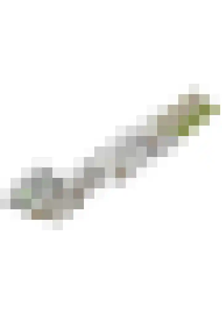 Meerser Koestraat 11 Stein thumbnail 54