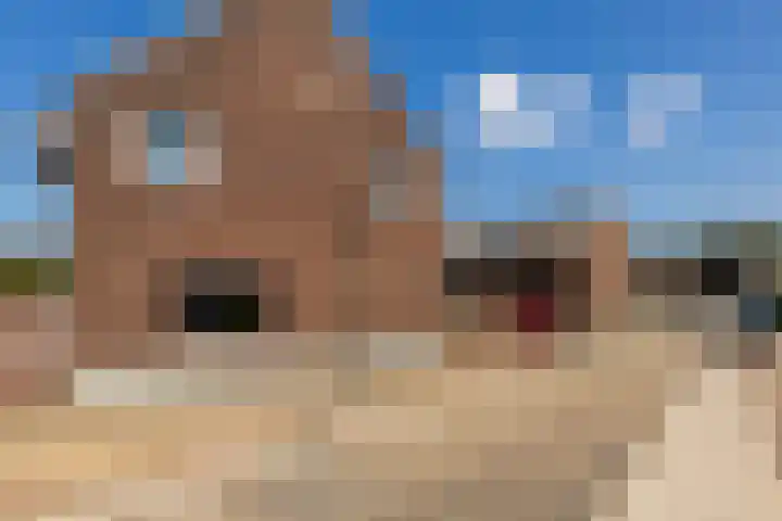 Meerser Koestraat 11 Stein thumbnail 8