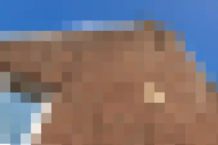 Meerser Koestraat 11 Stein thumbnail 9
