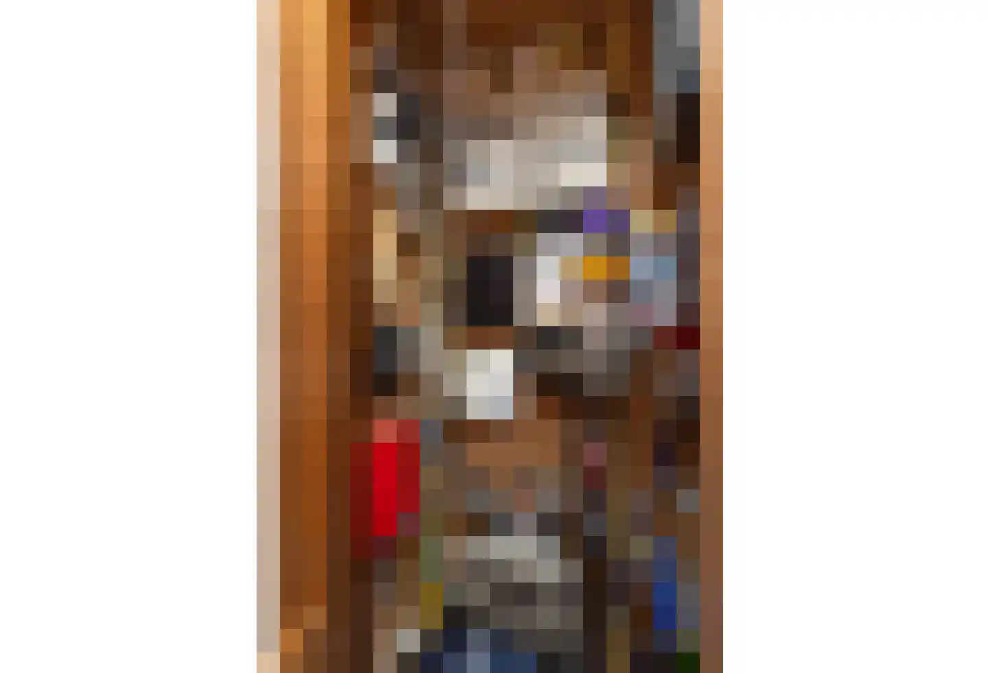 Meerser Koestraat 16 Stein thumbnail 12