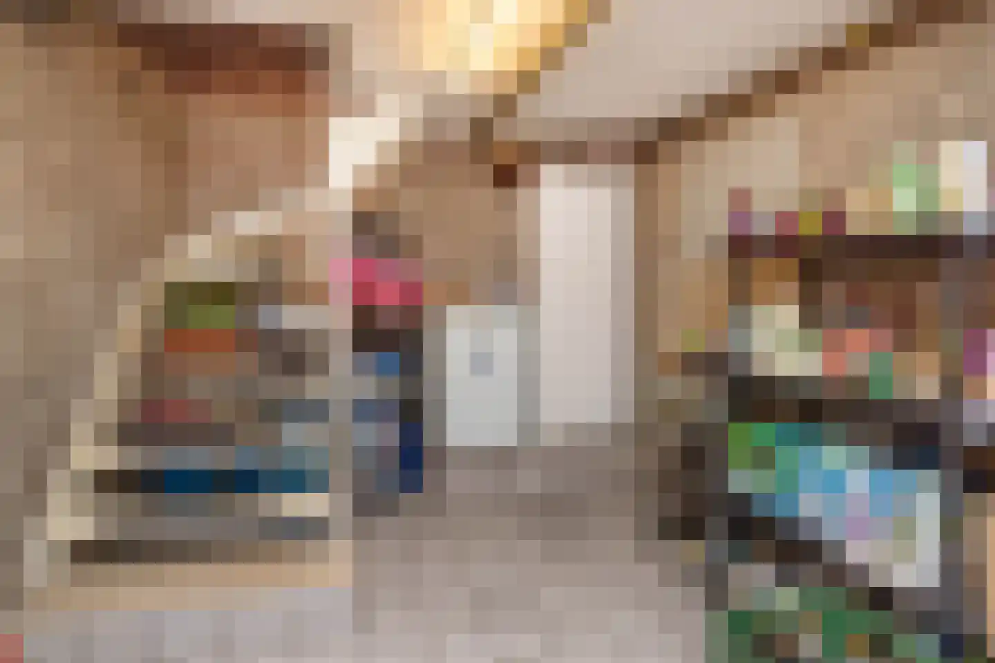Meerser Koestraat 16 Stein thumbnail 13
