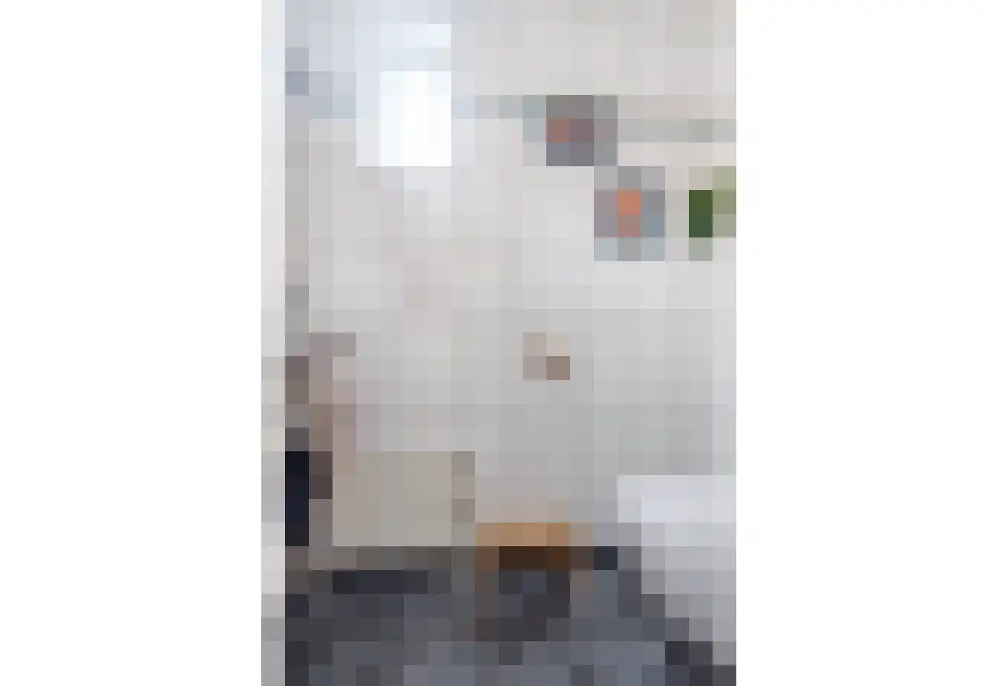 Meerser Koestraat 16 Stein thumbnail 14