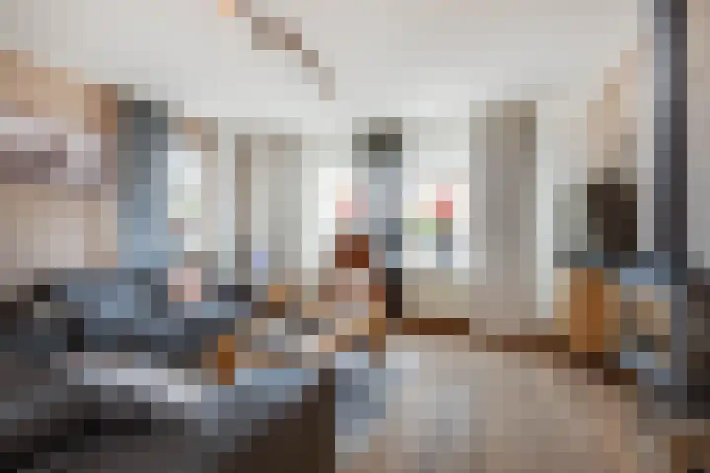 Meerser Koestraat 16 Stein thumbnail 16