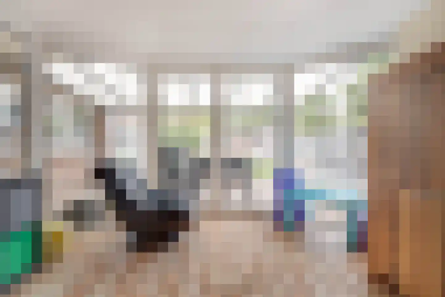 Meerser Koestraat 16 Stein thumbnail 20