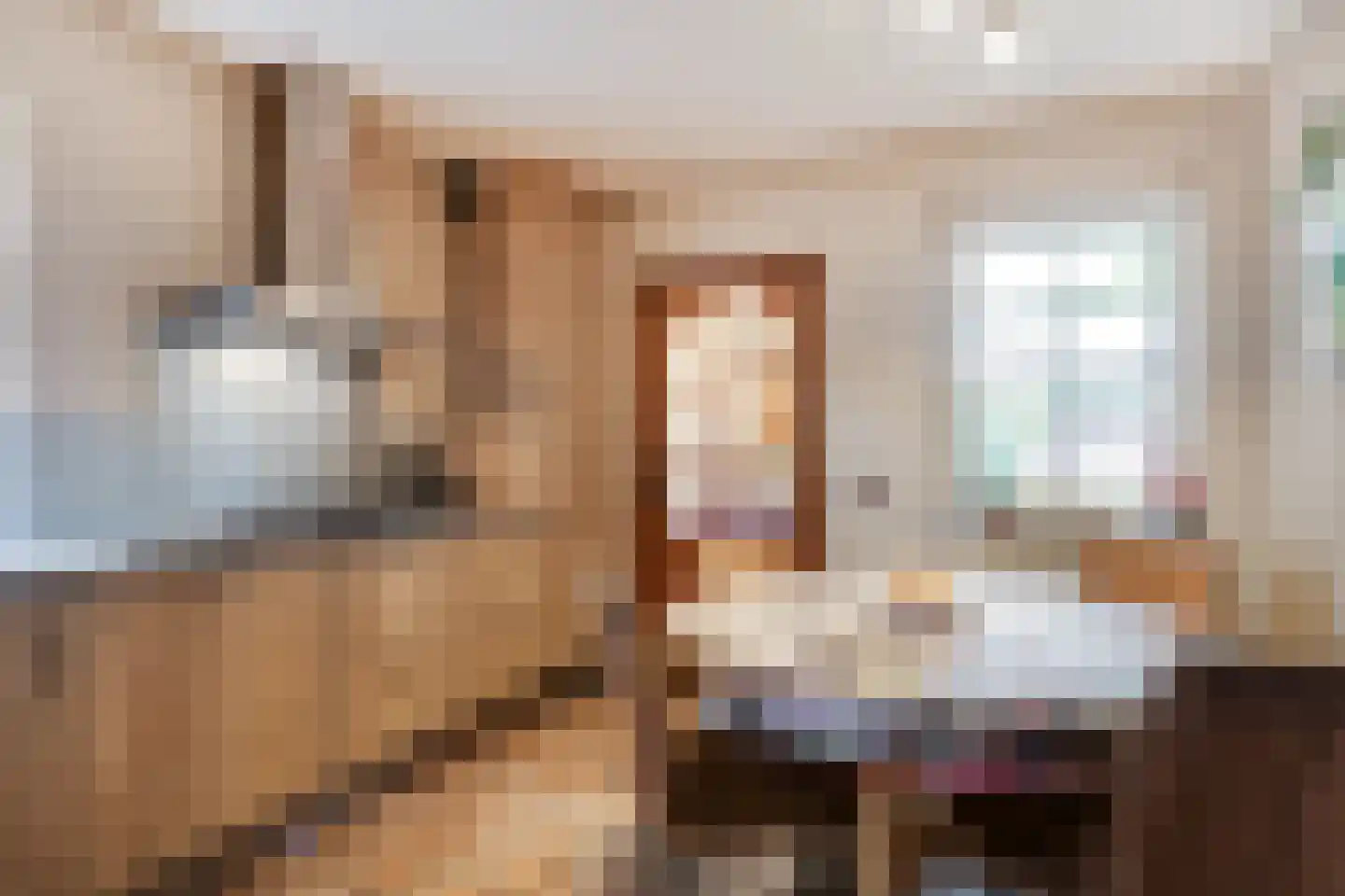 Meerser Koestraat 16 Stein thumbnail 22
